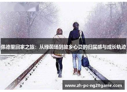 佩德里回家之旅：从绿茵场到故乡心灵的归属感与成长轨迹