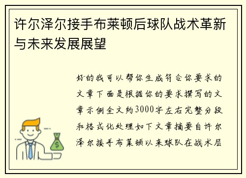 许尔泽尔接手布莱顿后球队战术革新与未来发展展望 许尔泽尔接手布莱顿后球队战术革新与未来发展展望