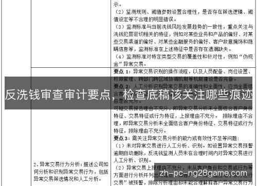 反洗钱审查审计要点，检查底稿该关注哪些痕迹