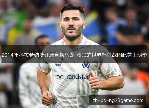 2014年科拉希纳茨开场自摆乌龙 波黑的世界杯首战因此蒙上阴影 2014年科拉希纳茨开场自摆乌龙 波黑的世界杯首战因此蒙上阴影