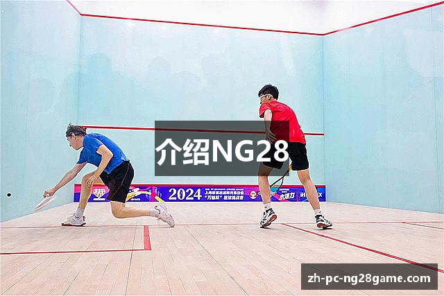介绍NG28